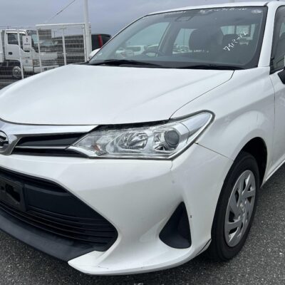 2019 Toyota Axio